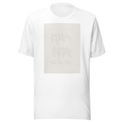 Memoirs of the Museum of Comparative Zoology at Harvard College Pl.69 by Harvard University. Museum of Comparative Zoology T-Shirt