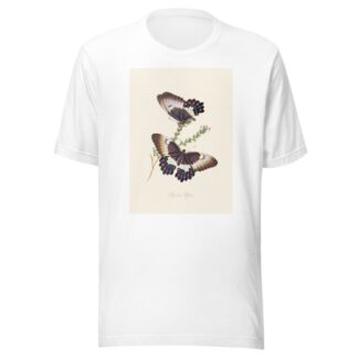 An epitome of the natural history of the insects of New Holland, New Zealand Pl.13 by Edward Donovan T-Shirt