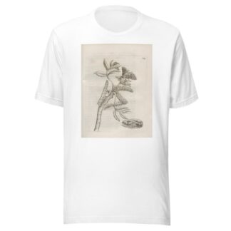 Der Raupen wunderbare Verwandelung und sonderbare Blumen-Nahrung Pl.060 by Maria Sibylla Merian T-Shirt
