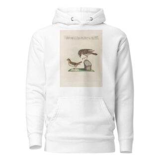 Ornithologia methodice digesta Pl.357 by Saverio Manetti Hoodie