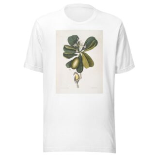 Arbor Jasmini floribus, The Seven Years Apple; Parus Bahamensis, The Bahama Titmous. by Mark Catesby T-Shirt