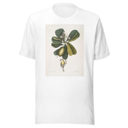 Arbor Jasmini floribus, The Seven Years Apple; Parus Bahamensis, The Bahama Titmous. by Mark Catesby T-Shirt