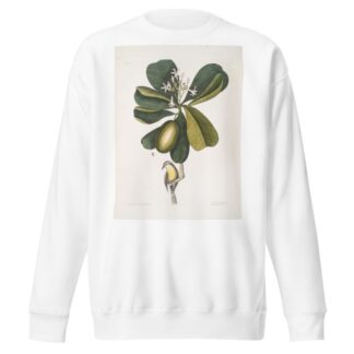 Arbor Jasmini floribus, The Seven Years Apple; Parus Bahamensis, The Bahama Titmous. by Mark Catesby Sweatshirt
