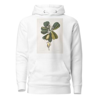 Arbor Jasmini floribus, The Seven Years Apple; Parus Bahamensis, The Bahama Titmous. by Mark Catesby Hoodie