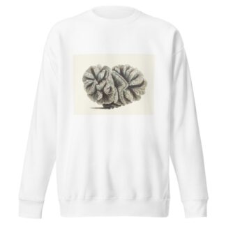 Curled Madrepore by George Shaw Sweatshirt