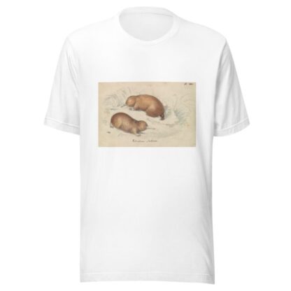 Long-beaked Echidna by Charles Hamilton Smith T-Shirt