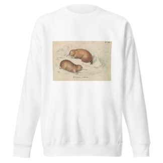 Long-beaked Echidna by Charles Hamilton Smith Sweatshirt