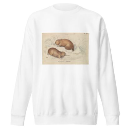 Long-beaked Echidna by Charles Hamilton Smith Sweatshirt