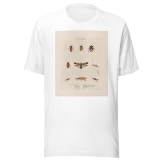 Insectes recueillis en Afrique et en Amérique Pl.38 by Jean Gabriel Prêtre T-Shirt