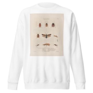 Insectes recueillis en Afrique et en Amérique Pl.38 by Jean Gabriel Prêtre Sweatshirt