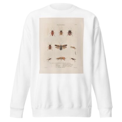 Insectes recueillis en Afrique et en Amérique Pl.38 by Jean Gabriel Prêtre Sweatshirt