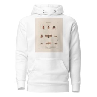 Insectes recueillis en Afrique et en Amérique Pl.38 by Jean Gabriel Prêtre Hoodie