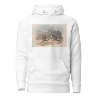 A monograph of the Macropodidae, or family of kangaroos Pl.21 by John Gould Hoodie
