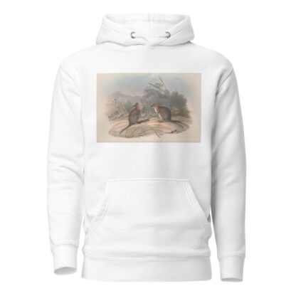 A monograph of the Macropodidae, or family of kangaroos Pl.21 by John Gould Hoodie