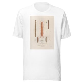 Insectes recueillis en Afrique et en Amérique Pl.05 by Jean Gabriel Prêtre T-Shirt