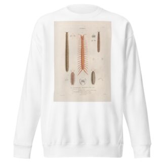 Insectes recueillis en Afrique et en Amérique Pl.05 by Jean Gabriel Prêtre Sweatshirt