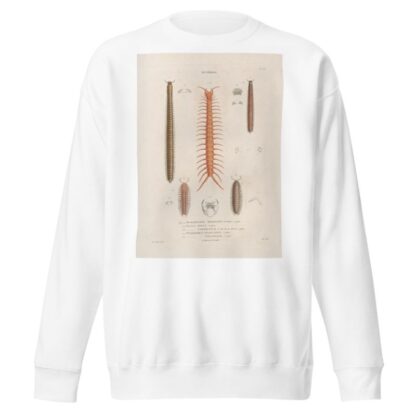 Insectes recueillis en Afrique et en Amérique Pl.05 by Jean Gabriel Prêtre Sweatshirt
