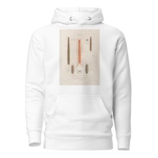 Insectes recueillis en Afrique et en Amérique Pl.05 by Jean Gabriel Prêtre Hoodie