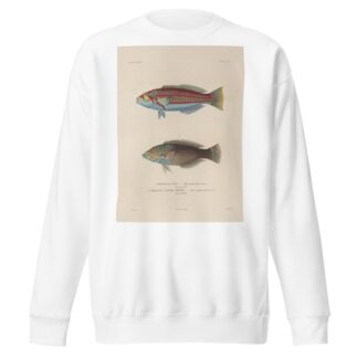 Voyage autour du monde Pl.042 by Louis-Isidore Duperrey Sweatshirt