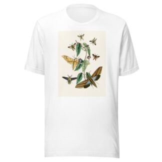 The cabinet of oriental entomology Pl XXXI by John Obadiah Westwood T-Shirt