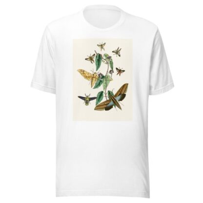 The cabinet of oriental entomology Pl XXXI by John Obadiah Westwood T-Shirt