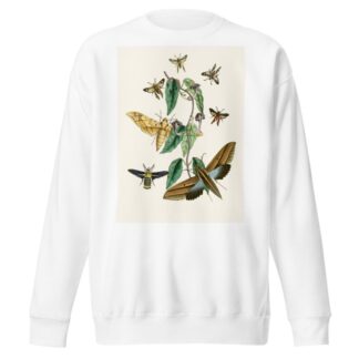 The cabinet of oriental entomology Pl XXXI by John Obadiah Westwood Sweatshirt