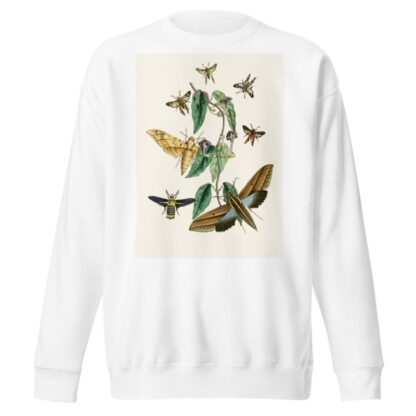 The cabinet of oriental entomology Pl XXXI by John Obadiah Westwood Sweatshirt