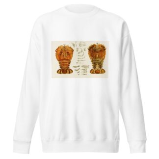 Crustacea V by Frederick McCoy Sweatshirt