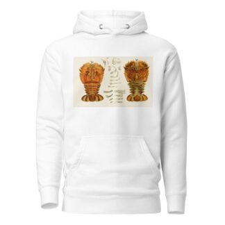 Crustacea V by Frederick McCoy Hoodie