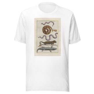 Rerum naturalium historia nempe quadrupedum Pl.09 by Filippo Buonanni T-Shirt