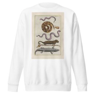 Rerum naturalium historia nempe quadrupedum Pl.09 by Filippo Buonanni Sweatshirt