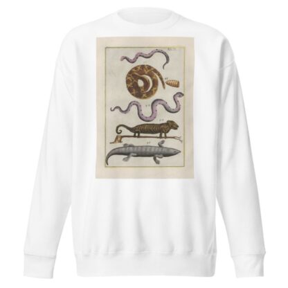 Rerum naturalium historia nempe quadrupedum Pl.09 by Filippo Buonanni Sweatshirt