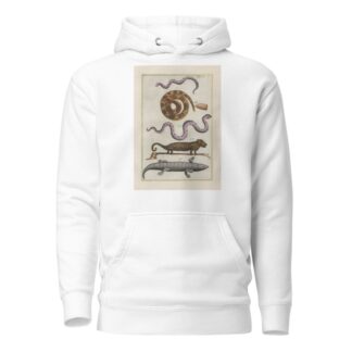 Rerum naturalium historia nempe quadrupedum Pl.09 by Filippo Buonanni Hoodie