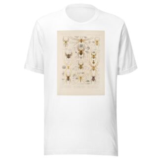 Arachnida Araneidea Pl 31 by Frederick DuCane Godman T-Shirt