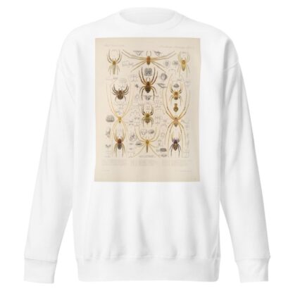 Arachnida Araneidea Pl 31 by Frederick DuCane Godman Sweatshirt