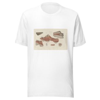 Recherches sur les poissons fossiles Pl.276 by Louis Agassiz T-Shirt