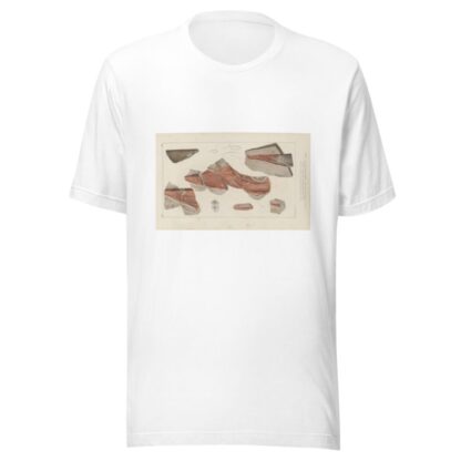 Recherches sur les poissons fossiles Pl.276 by Louis Agassiz T-Shirt