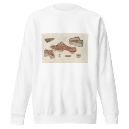 Recherches sur les poissons fossiles Pl.276 by Louis Agassiz Sweatshirt