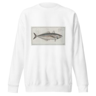 Scomber Trachurus, The Scad. by Marcus Elieser Bloch Sweatshirt