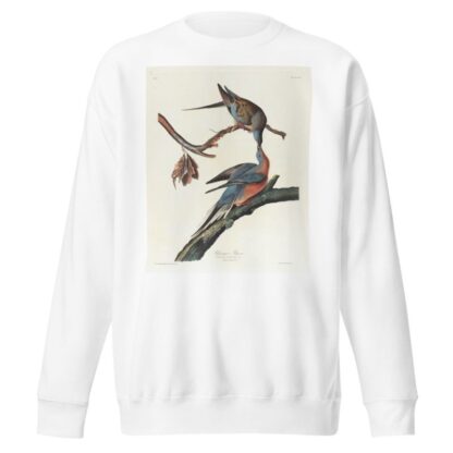 Passenger pigeon by John James Audubon Sweatshirt