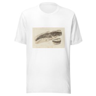 Recherches sur les poissons fossiles Pl.277 by Louis Agassiz T-Shirt