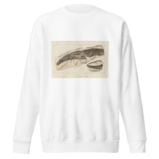 Recherches sur les poissons fossiles Pl.277 by Louis Agassiz Sweatshirt