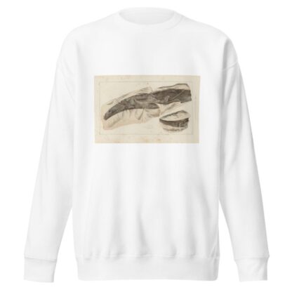 Recherches sur les poissons fossiles Pl.277 by Louis Agassiz Sweatshirt