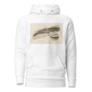 Recherches sur les poissons fossiles Pl.277 by Louis Agassiz Hoodie