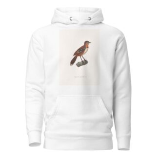 Onguiculé Spinicaude Male by Coenraad Jacob Temminck Hoodie