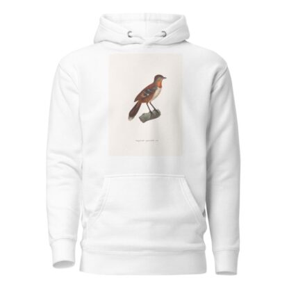 Onguiculé Spinicaude Male by Coenraad Jacob Temminck Hoodie