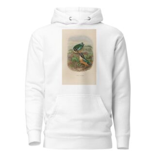 A monograph of the Pittidæ, or family of ant-thrushes Pl.19 by Daniel Giraud Elliot Hoodie