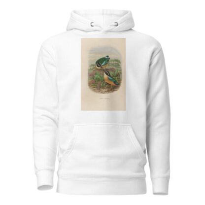 A monograph of the Pittidæ, or family of ant-thrushes Pl.19 by Daniel Giraud Elliot Hoodie