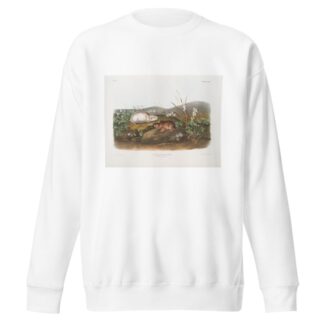 Myodes Hudsonius, Hudson Bay Lemming. Natural size. by John Woodhouse Audubon Sweatshirt