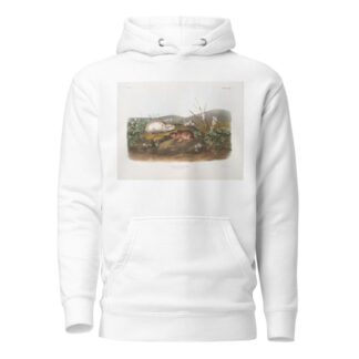 Myodes Hudsonius, Hudson Bay Lemming. Natural size. by John Woodhouse Audubon Hoodie